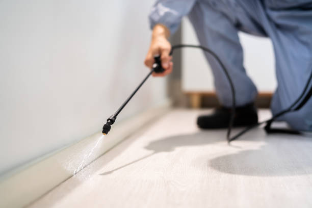 Licensed Mosquito Control service in Mesquite, TX - Show Me Pest Control
