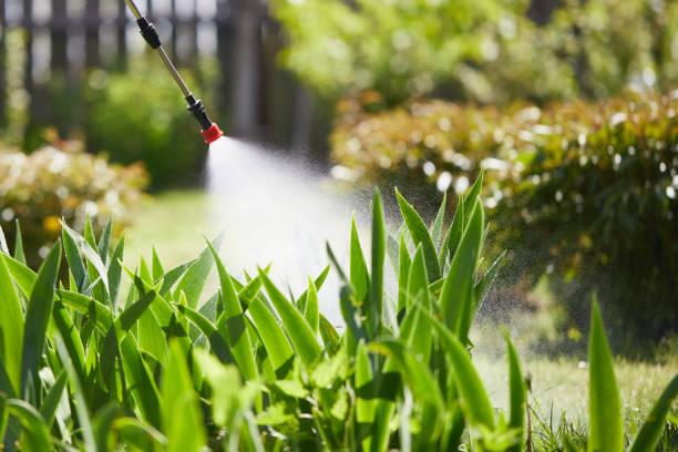 24/7 Emergency Mosquito Control experts in Mesquite, TX