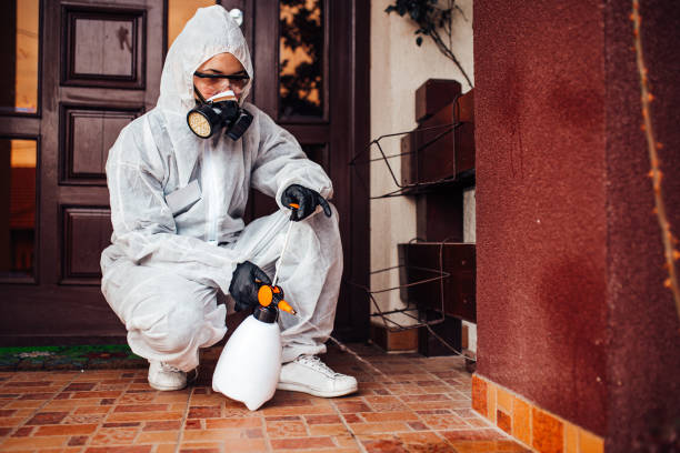 Reliable Mosquito Control contractor in Mesquite, TX by Show Me Pest Control