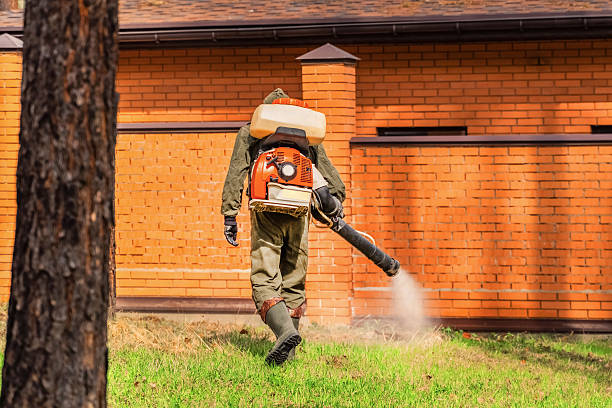 Top rated local Mosquito Control specialists in Mesquite, TX